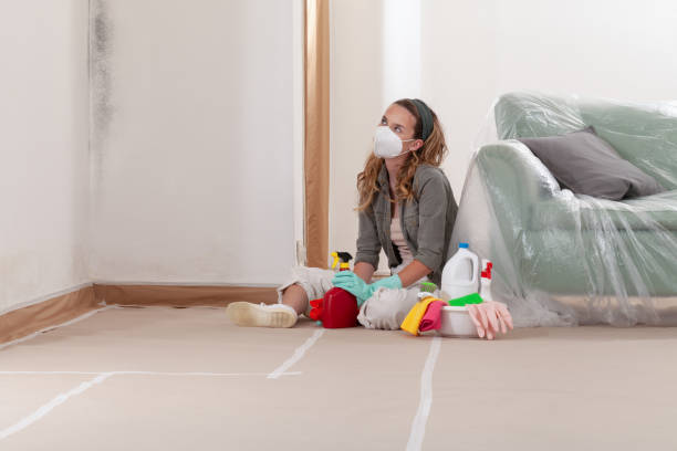 Reliable Mold Remediation contractor in Lowell, OR by WQB Mold Removal